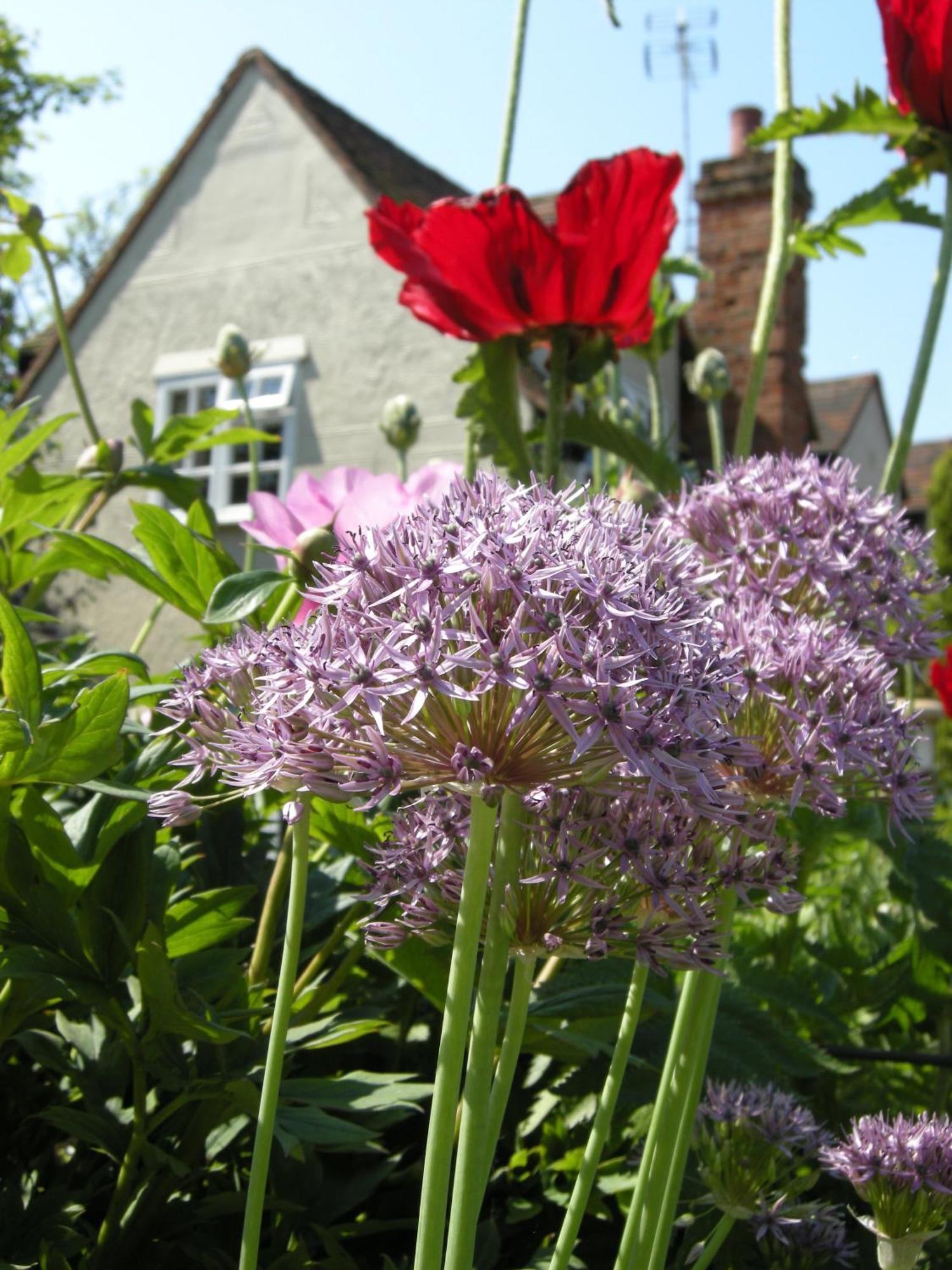 Motts Bed & Breakfast Great Dunmow Exterior photo